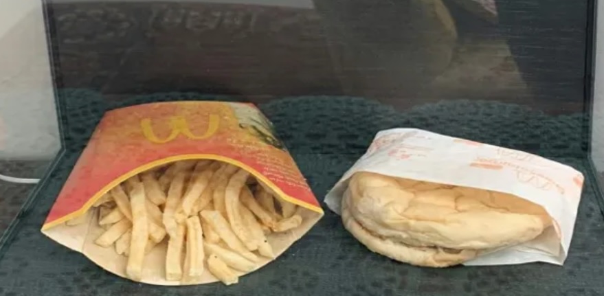 Ilang dekada na ang nakalilipas ay hindi pa rin nabubulok ang fries at